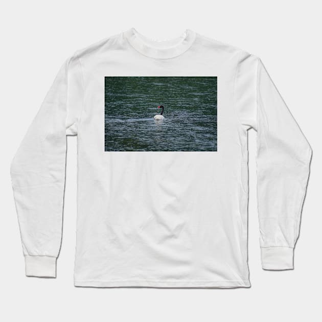 bbs Swan River Long Sleeve T-Shirt by pcfyi